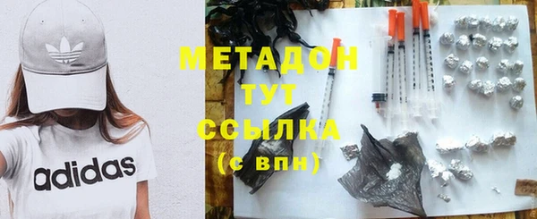 шишки Горняк