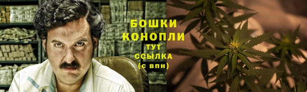 шишки Горняк