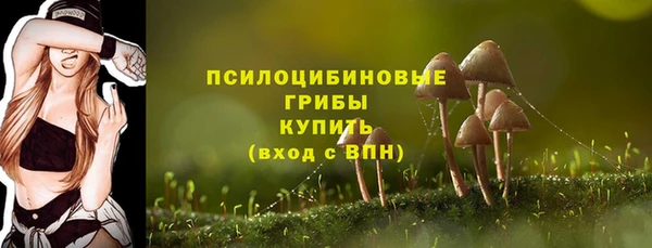 трава Горнозаводск
