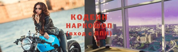 шишки Горняк