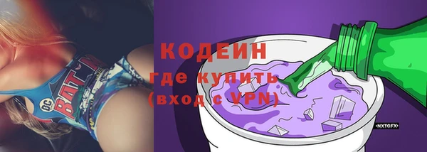 шишки Горняк