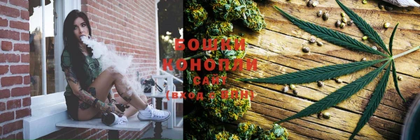 трава Горнозаводск