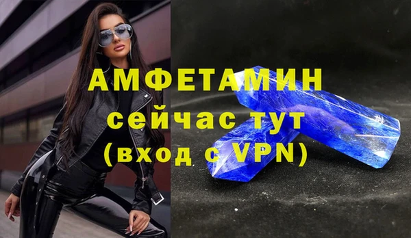 шишки Горняк