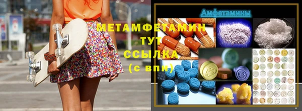 шишки Горняк