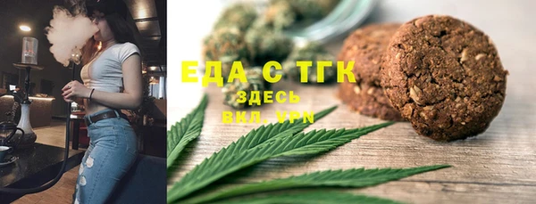 шишки Горняк