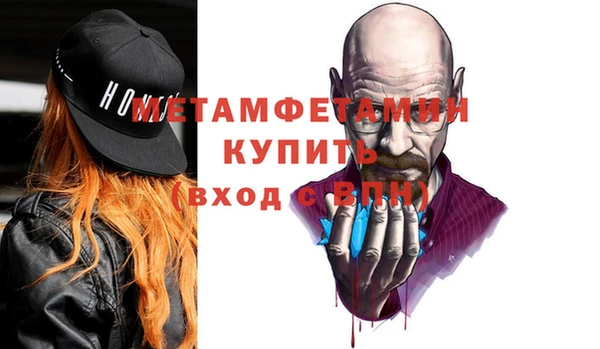 шишки Горняк