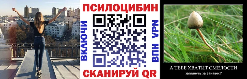 хочу   KRAKEN рабочий сайт  Псилоцибиновые грибы Psilocybine cubensis  Меленки 